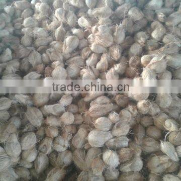 Andara Coconuts photo-3