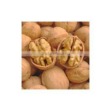 looking walnut buyers