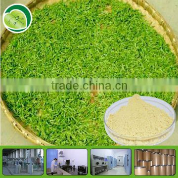 Green Tea Extract powder for tea polyphenol 98%