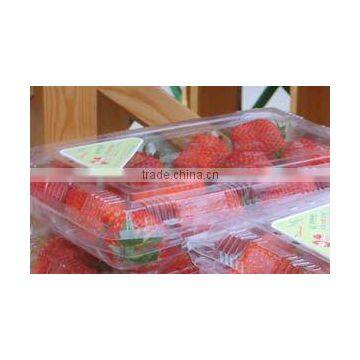 food grade packing rigid PET film in roll 0.5mm