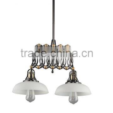 Machine Manufacturer Modernist Ceiling Light Double Light Adjustable Arm Hanging Light photo-2