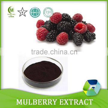 100% natural pigment Mulberry Fruit Extract/ Mulberry Extract powder bulk