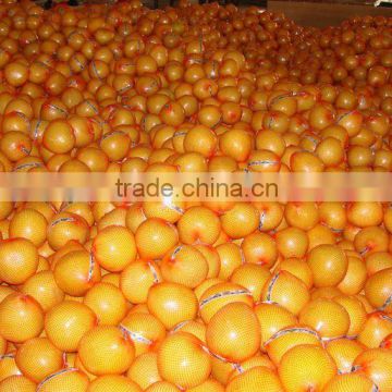 Sweet Honey Pomelo 9-11 pcs to Russia Market