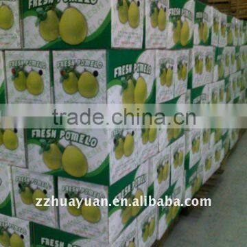 Chinese Pink Pomelo Fresh Pomelo for Sale