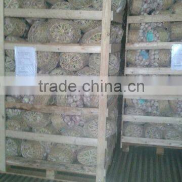 Garlic ( White - Red ) High Quality photo-5