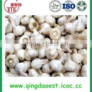 Jinxiang Garlic Contact me photo-6