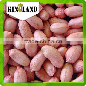 Wholesale Peanut Kernels With Best Price photo-3
