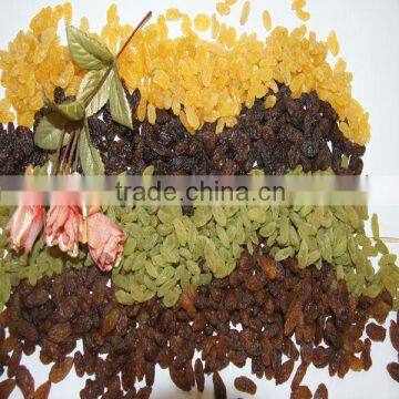 Kinds of China origin raisins