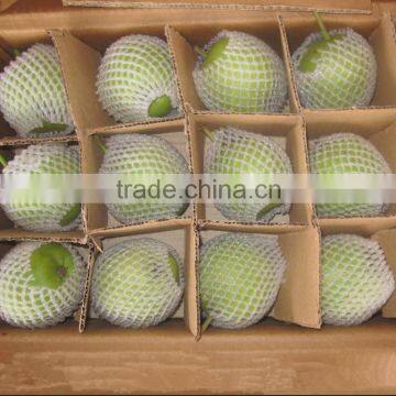 Fresh Early su Pear Juicy su Pear With Best Price for Export photo-6