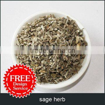 sage herb