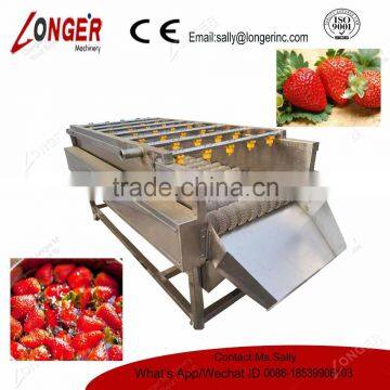 Fruit Processing Equipment