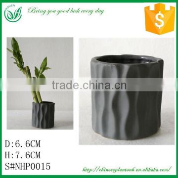 Mini Lucky Bamboo Flower Pot