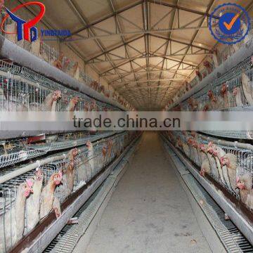 Hot sale chicken house design for automatic broiler chicken cage