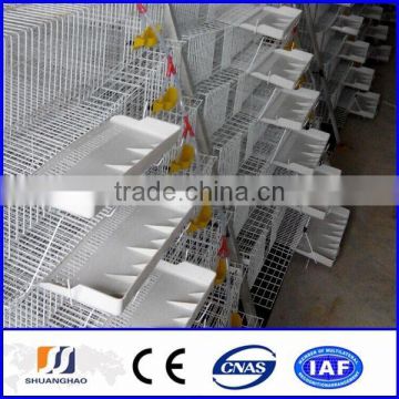 2014 new!!! cheap quail cage/wire mesh quail cage (manufactory)