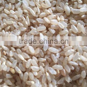 Grain Polisher photo-5