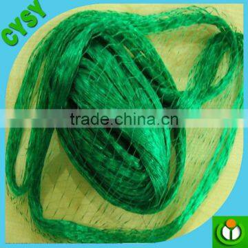 Green Polyethylene Anti-bird Net /plastic Net in Caton Packing