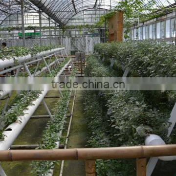 Agricultural Hydroponic NFT Planting Growing System photo-4