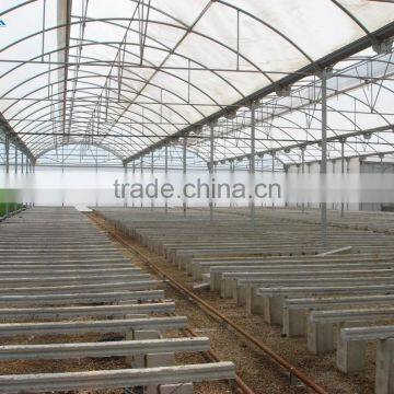 Factory Price High Quality Commercial/agricultural Used Film Covering Greenhouse for Sale photo-6