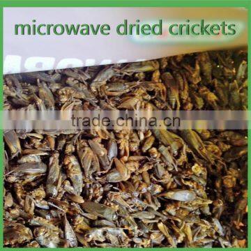 For Mouse & Fish & Cat Microwave Dried Crickets Wild Bird Pet Food photo-4