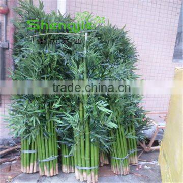 SJLJ013573 Artificial Evergreen Plant and Tree Fake Plastic Bamboo Stick photo-2