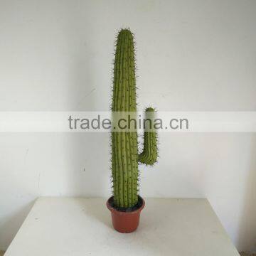 SJ3001009 High Imitation Cactus Plant/indoor Decoration Cactus Plant photo-2