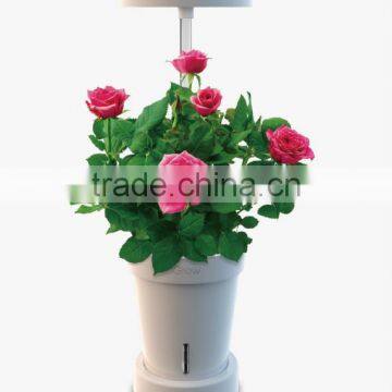 30 Led Grow Light Indoor Growing with Hydroponics