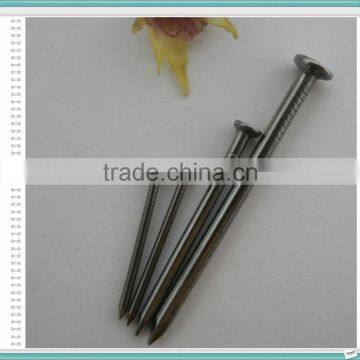 Common Wire Nails Supplier From China Special for Yemen Market photo-2