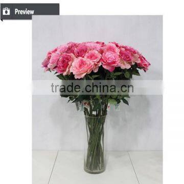 Decoration for Party Hot Sale Single Big Tea Rose Artificial Flower Wholesale photo-6