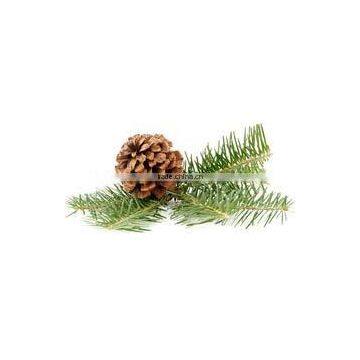 Pine Oil photo-2