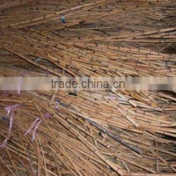 Raw Rattan small Cane