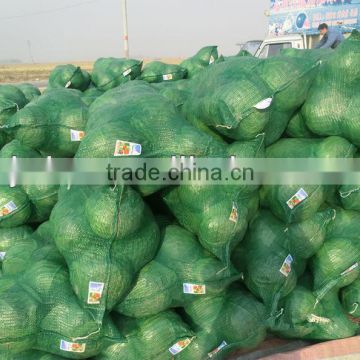 Plastic cabbage net bags green linned mesh bags packing cabbages hot sales