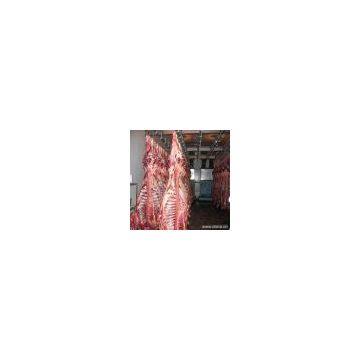 Sell Chilled or Frozen Halal Beef Meat