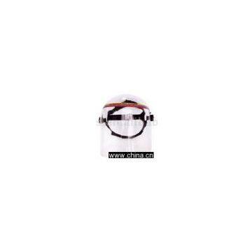 face shield,mask,protective mask,clear mask,face mask