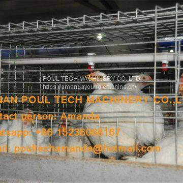 Vietnam Poultry Farm A Type Battery Broiler Cage System & Chicken Cage & to Improve Chicken Meat Production