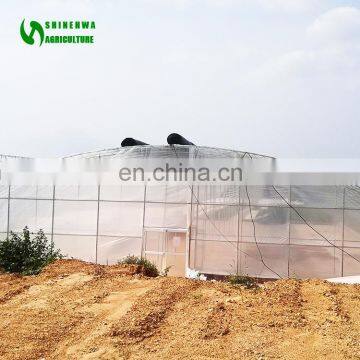 Low Cost Mini Greenhouse Used For Sale