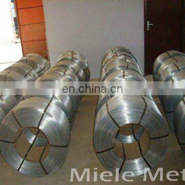 Hot Dipped Galvanized Steel Wire photo-3