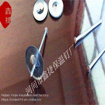 Welding Insulation NailInsulated Air Conditioning Pipe Insulation Welding PinGlass Wool Felt Insulation Welding Machine Insulation NailMarine Adhesive Nails photo-4