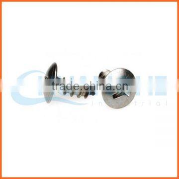 China Supplier Anti-theft Screws/security Screws Fasteners photo-6