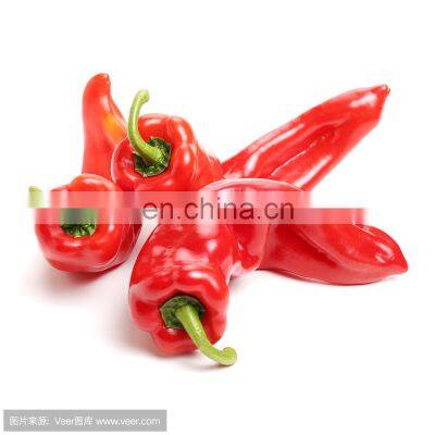 Frozen Red Pepper Frozen Bell Pepper With Good Quality and Moderate Price in China