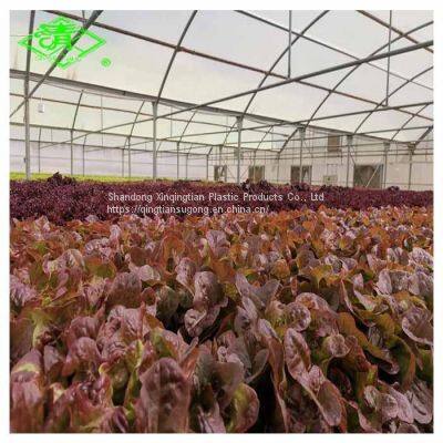 Wholesale Polyethylene Greenhouse Covering Film with High Quality