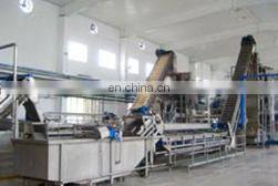 Raspberry Strawberry Juice Processing Machine/Hot Filling Machine photo-3