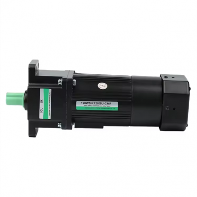 constant speed gear motor 120/150/200W maximum load 400KG waterproof micro AC motor