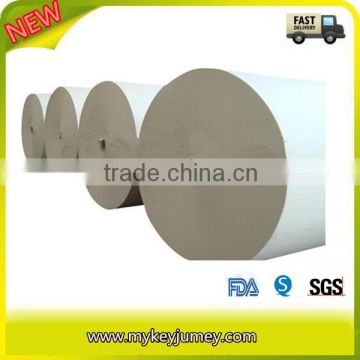 Single Sided PE Coated Paper Roll