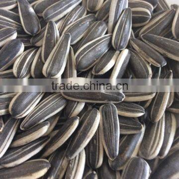 Chinese sunflower seeds market price