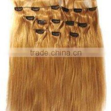 2013gradeAAA&hot selling&high quality & cheap brazilian wet and wavy hair