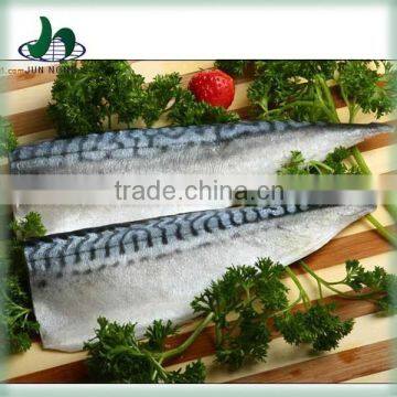 Delicious seafood atlantic mackerel in can