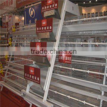 Advancing design galvanized layer chicken cages system for Nigeria