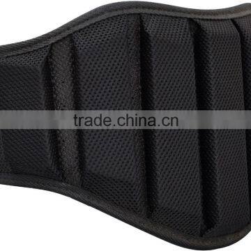 Back Support Belt