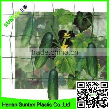 high quality plant support net /circular plant support /cucumber net with cheap price