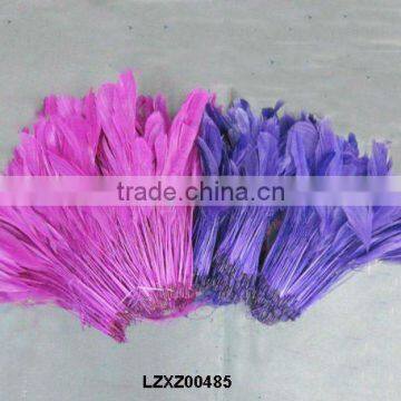 PURPLE stripped coque feathers LZXZ00485